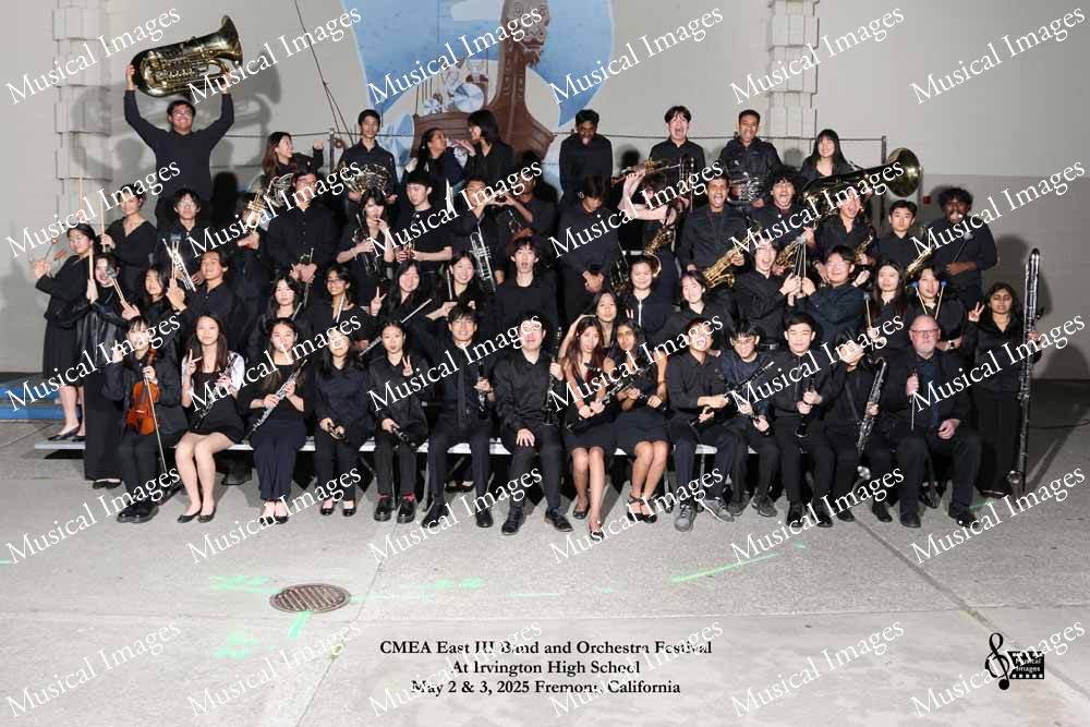 Musical Images